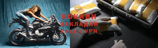 прущие грибы Горно-Алтайск