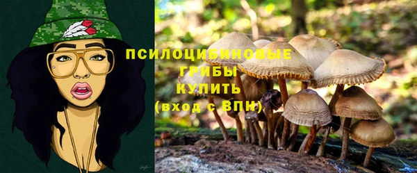 скорость Вязьма