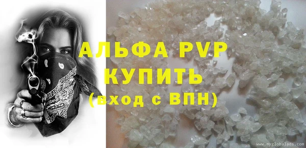 прущие грибы Горно-Алтайск