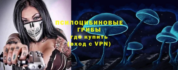 ГАЛЛЮЦИНОГЕННЫЕ ГРИБЫ Горнозаводск