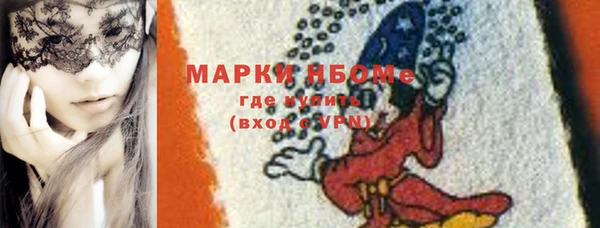 прущие грибы Горно-Алтайск
